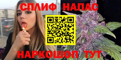 дмт Дубна