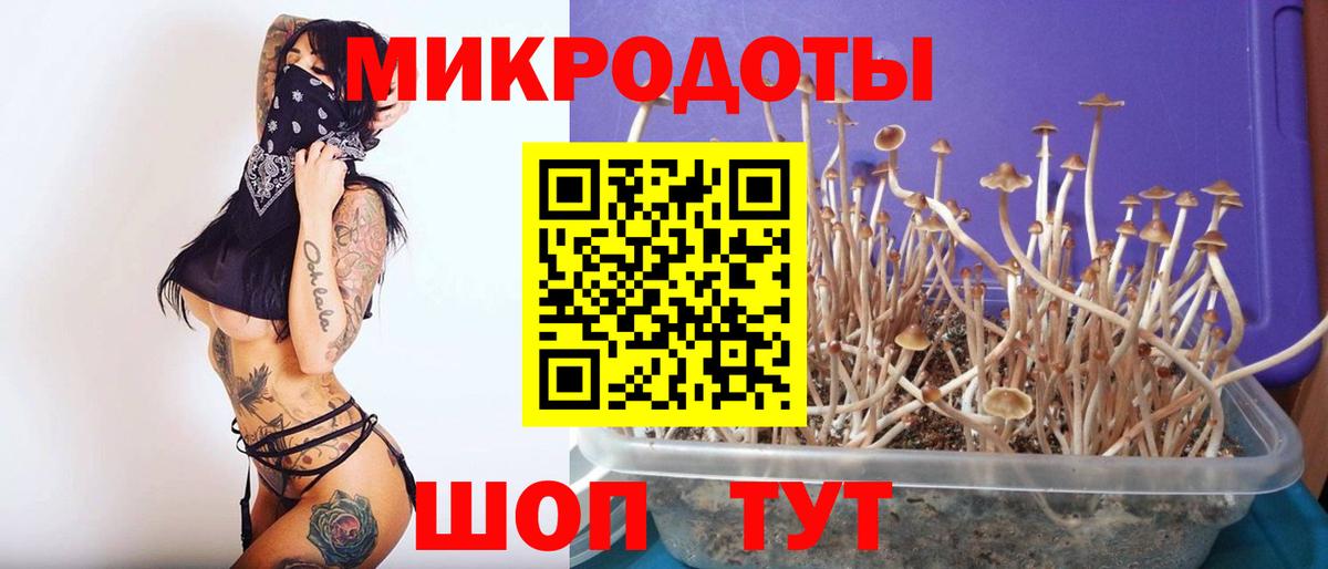Кулебаки  Галлюциногенные грибы мухоморы  Вход с VPN 